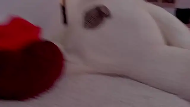 aryahunt1 online show from 02-12-25, 01:37