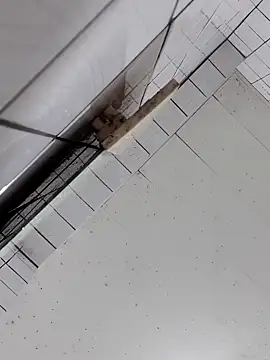 Snapshot of cindy01113520 chatting on 10-02-25, 02:57 cindy01113520 online show from 10-02-25, 02:57