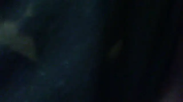 Billywax online show from 02-02-26, 09:30