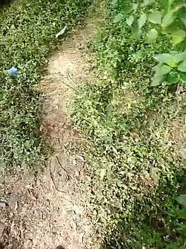 rameshmry1 online show from 01-07-26, 04:59