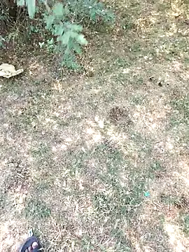 rameshmry1 online show from 03-29-26, 05:29