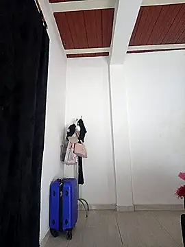 jaramilloali online show from 04-02-26, 06:49