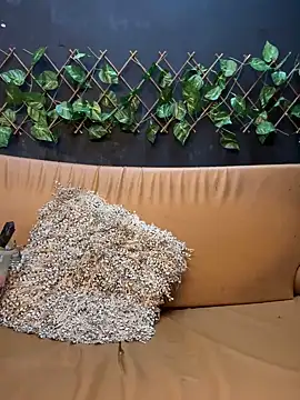 uma patna000 online show from 01-12-25, 09:51