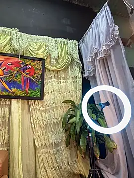 uma patna000 online show from 02-04-25, 07:51