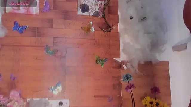 kelly thomson online show from 01-28-25, 04:18