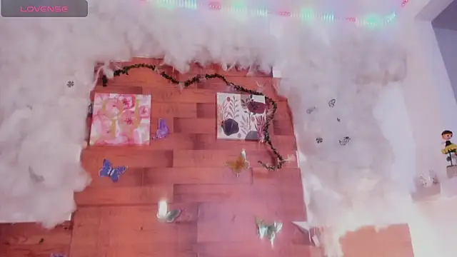 kelly thomson online show from 02-02-25, 04:22