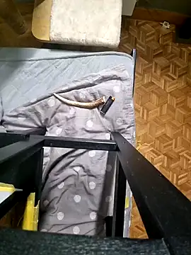 Bob666demon online show from 03-01-26, 12:51