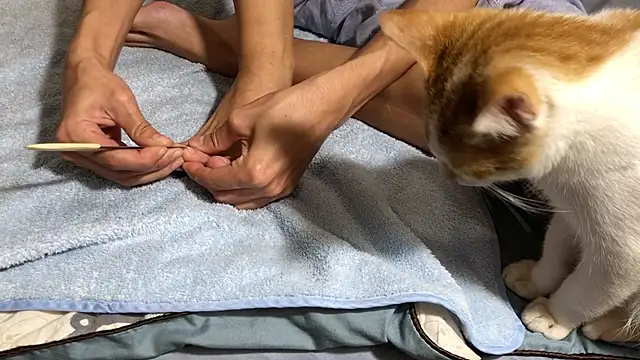 Snapshot of RiderFloor chatting on 02-08-26, 08:12 RiderFloor online show from 02-08-26, 08:12