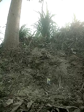 FinableKnee online show from 10-15-25, 04:01