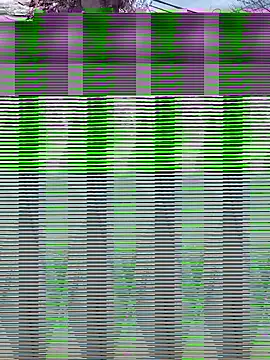 Alicbranca online show from 09-17-25, 04:41