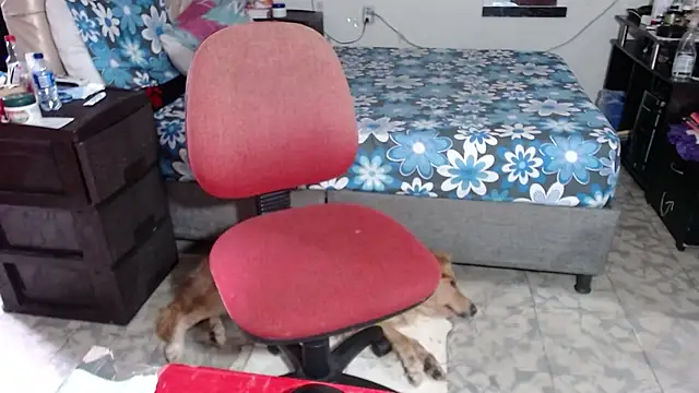 Barbiegomez online show from 11-26-25, 09:27