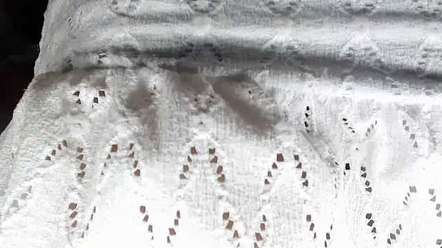 Snapshot of aleera_starxx982 chatting on 01-11-26, 11:59 aleera starxx982 online show from 01-11-26, 11:59