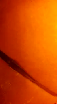 k lebannon online show from 12-31-24, 11:49