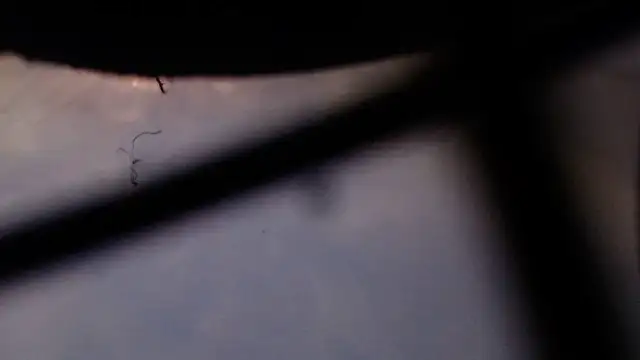 Snapshot of Cordt27 chatting on 02-12-26, 04:02 Cordt27 online show from 02-12-26, 04:02