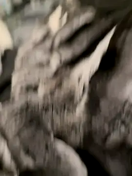 Furdale online show from 10-31-25, 07:04