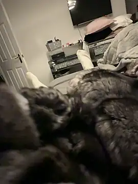 Snapshot of Furdale chatting on 12-17-25, 04:13 Furdale online show from 12-17-25, 04:13