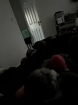 Snapshot of Furdale chatting on 01-15-26, 04:00 Furdale online show from 01-15-26, 04:00