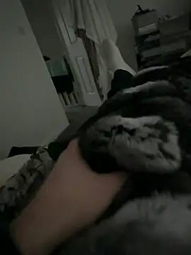 Snapshot of Furdale chatting on 02-02-26, 02:49 Furdale online show from 02-02-26, 02:49