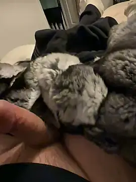 Snapshot of Furdale chatting on 02-03-26, 06:35 Furdale online show from 02-03-26, 06:35