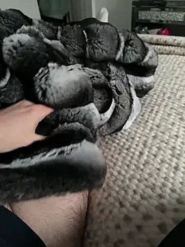 Snapshot of Furdale chatting on 02-09-26, 03:38 Furdale online show from 02-09-26, 03:38