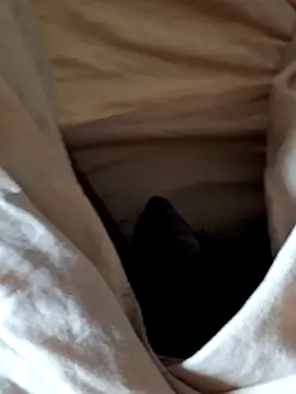 malluflash online show from 02-12-26, 07:58