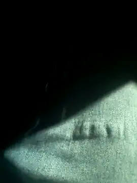 Snapshot of N-lS chatting on 03-10-26, 08:36 N-lS online show from 03-10-26, 08:36