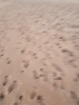 rodovlaz online show from 09-17-25, 10:44