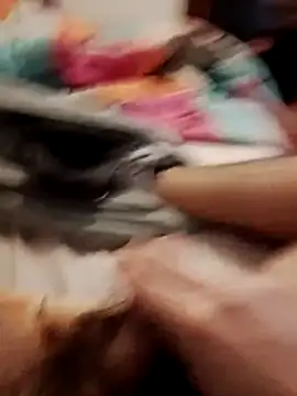 Snapshot of jon763 chatting on 02-19-26, 09:16 jon763 online show from 02-19-26, 09:16