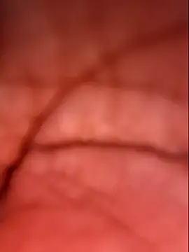 Samia Queen online show from 10-04-25, 02:37