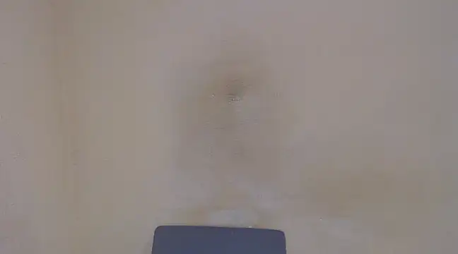 Snapshot of AlexNudo chatting on 02-05-25, 04:58 AlexNudo online show from 02-05-25, 04:58