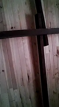 davigochi77bcn online show from 03-06-25, 11:20