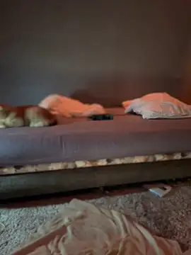 Bastet online show from 01-15-25, 07:34