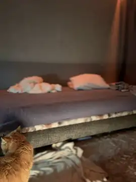 Bastet online show from 01-16-25, 07:31