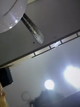 Snapshot of Tayra_Siny chatting on 02-14-25, 12:47 Tayra Siny online show from 02-14-25, 12:47