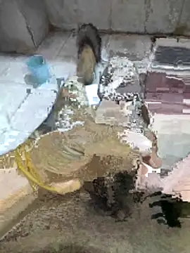 Snapshot of My120my120 chatting on 12-19-25, 11:56 My120my120 online show from 12-19-25, 11:56