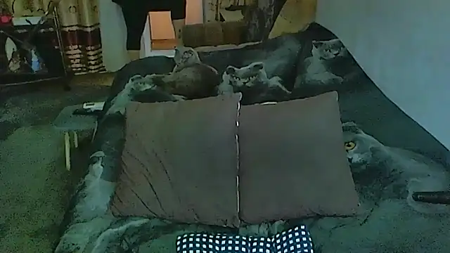 sex2 online show from 12-04-25, 01:26