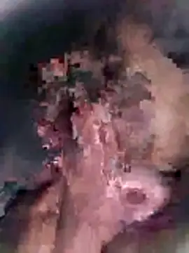 Pitercom online show from 10-18-25, 12:13