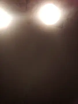 lilianashemale online show from 11-01-25, 03:08