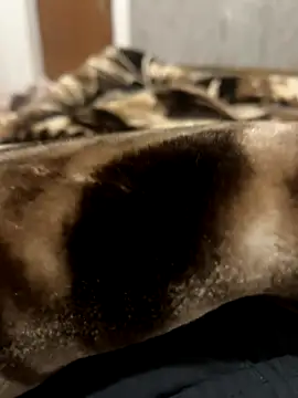 Snapshot of bigshow112 chatting on 11-13-25, 04:22 bigshow112 online show from 11-13-25, 04:22