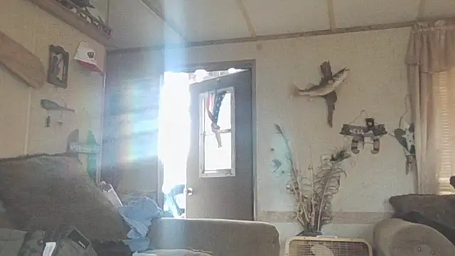 Yankeedave420 online show from 11-19-25, 06:08