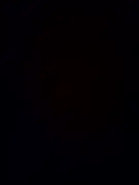 Baumhackel online show from 04-26-26, 09:56