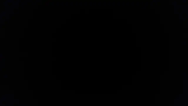 Snapshot of palidin1 chatting on 11-25-25, 10:37 palidin1 online show from 11-25-25, 10:37