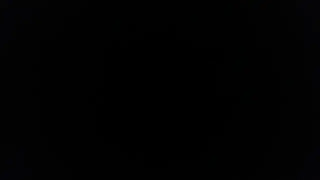 palidin1 online show from 02-09-26, 03:49