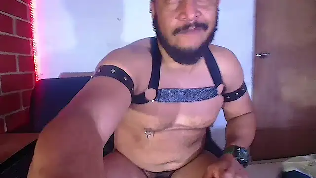 the master foal  online show from 02-06-25, 08:18