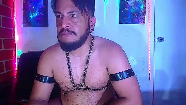 the master foal  online show from 03-05-25, 01:50