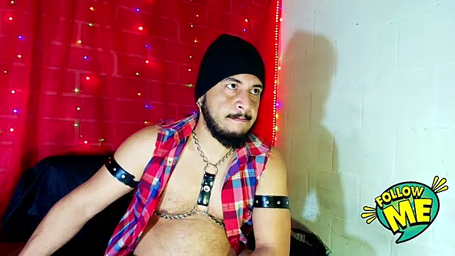 the master foal  online show from 09-17-25, 10:39