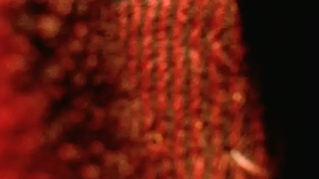 rockhead1971 online show from 10-18-25, 10:49