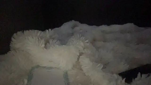 lyna sweet online show from 04-16-26, 10:34