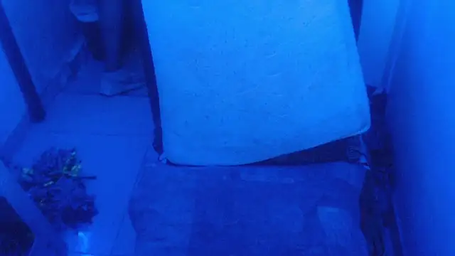 Snapshot of selenax2023 chatting on 02-02-26, 11:03 selenax2023 online show from 02-02-26, 11:03