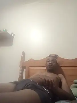 Dibobo4 online show from 02-12-26, 08:04